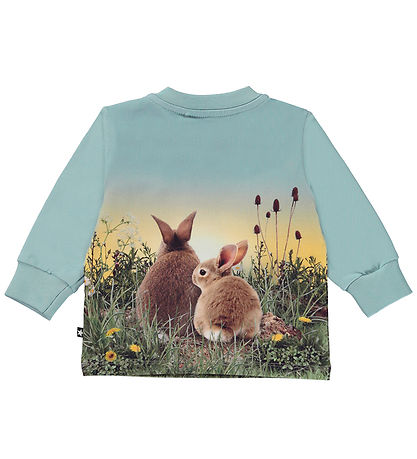 Molo Bluse - Eloy - Rabbit Life
