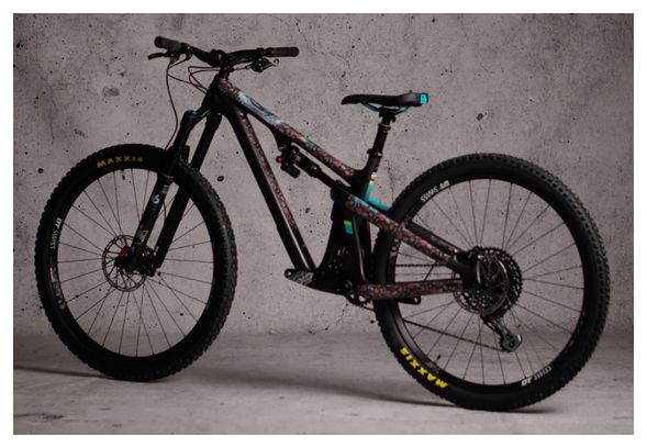 Kit de Protection Cadre Dyedbro Frame Guadalupe Multi-Couleurs