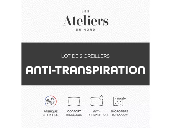 Lot de 2 oreillers Anti-transpiration 60x60cm