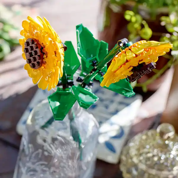 40524 Sonnenblumen