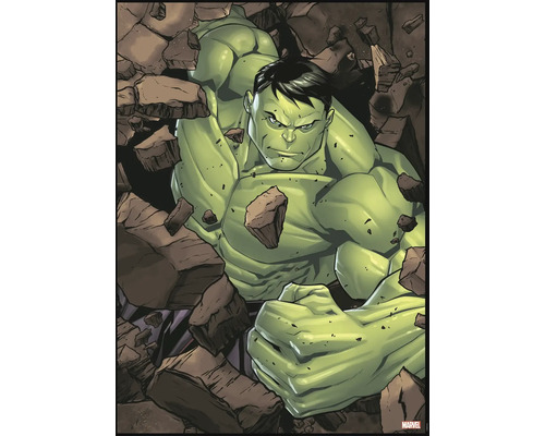 Canvasprint Hulk 50x70 cm