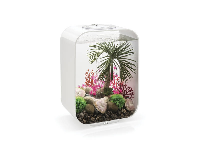 biOrb plaat koraal set - 3 stuks