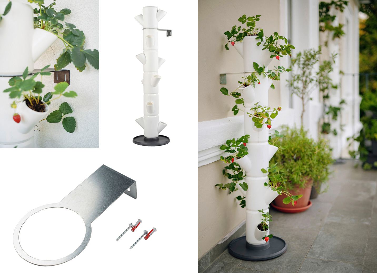 Pflanz-System Sissi Strawberry