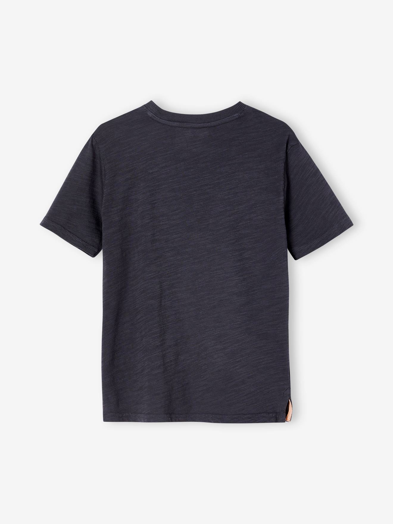 Camiseta cinza com estampa 