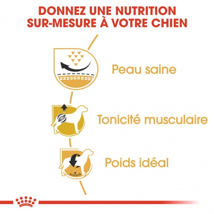 Royal Canin Carlin Adult (Pug) - Croquettes pour chien