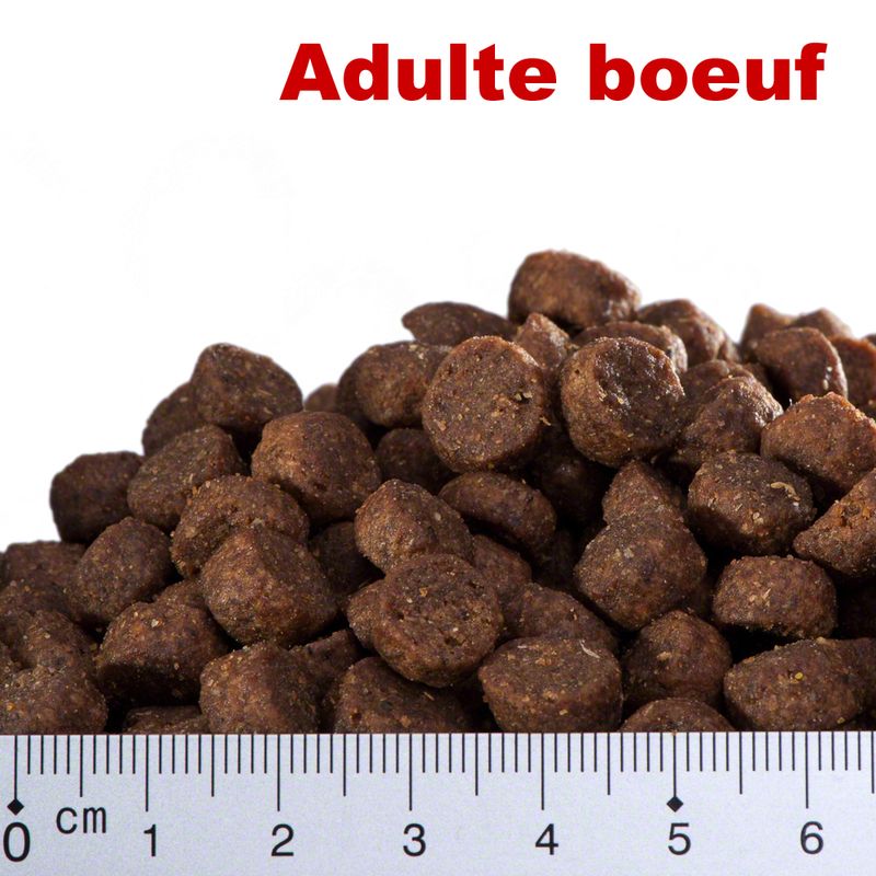 Smilla Adult, bœuf à prix discount sur bitiba.fr