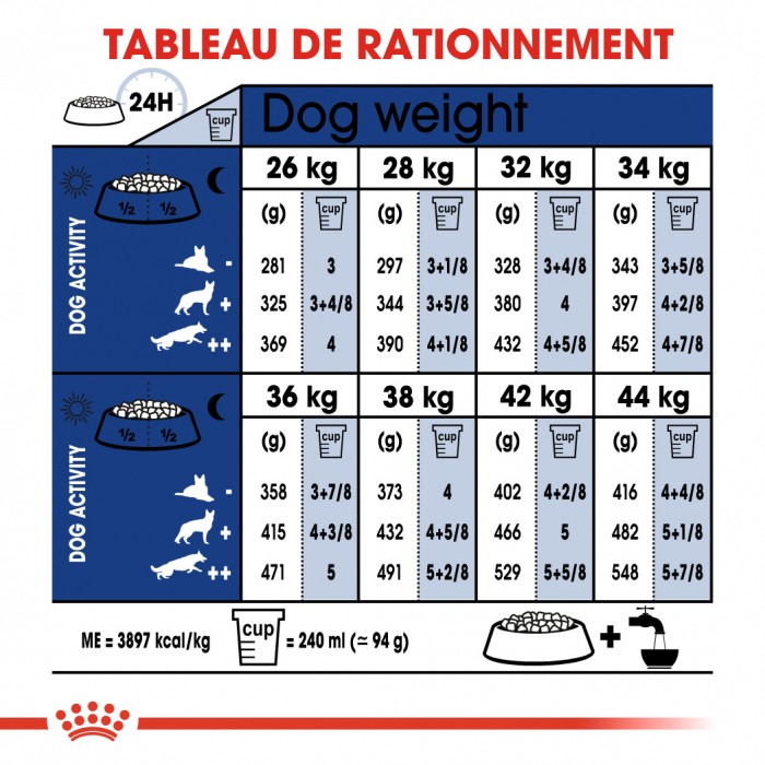 Royal Canin Maxi Adult 5+ - Croquettes pour chien