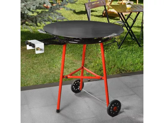 Barbecue au gaz Grill