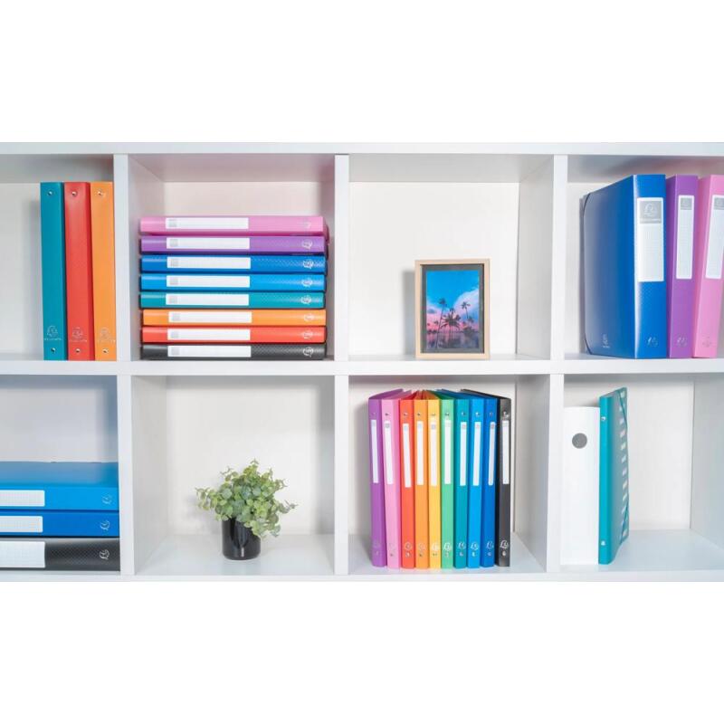 Boite de Classement Exabox Dos 25mm polypropylène 7/10e OPAK - A4