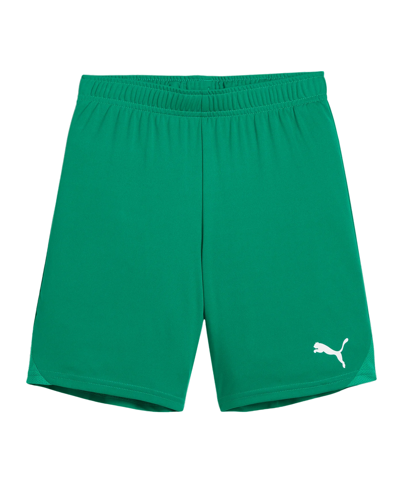 PUMA teamGOAL Short Kids Grün Weiss F05
