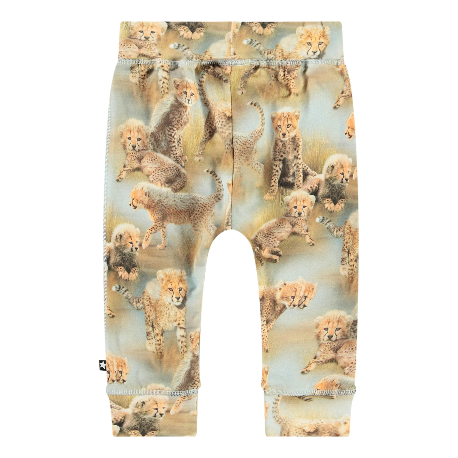 Sammy - Cheetah Cubs