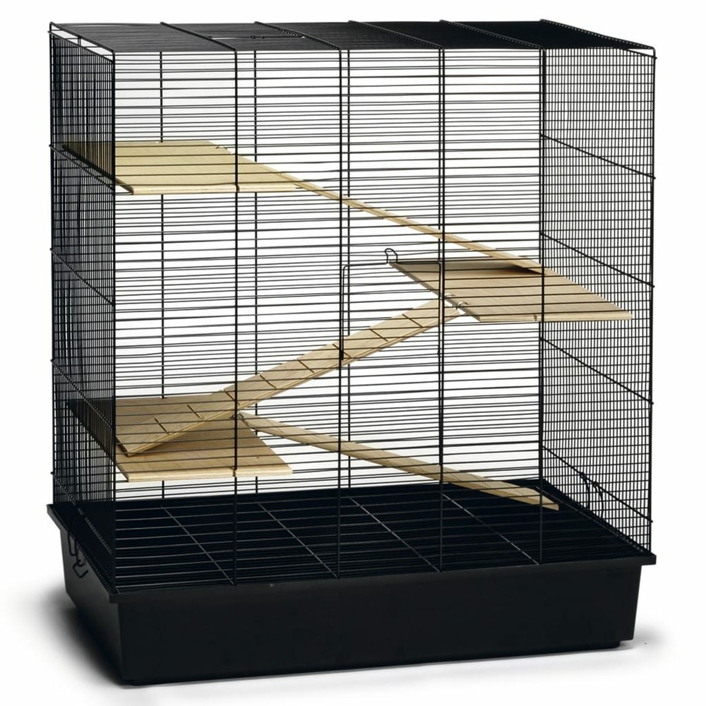 Cage pour rongeurs scooby noir 70x40x78 cm métal