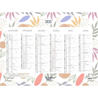 Quo Vadis - Calendrier Fantaisie - 55 x 40,5 cm - Exotique