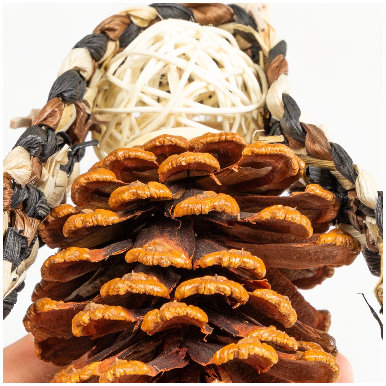 HappyBird Vogelspielzeug Cones Charm mit Zapfen