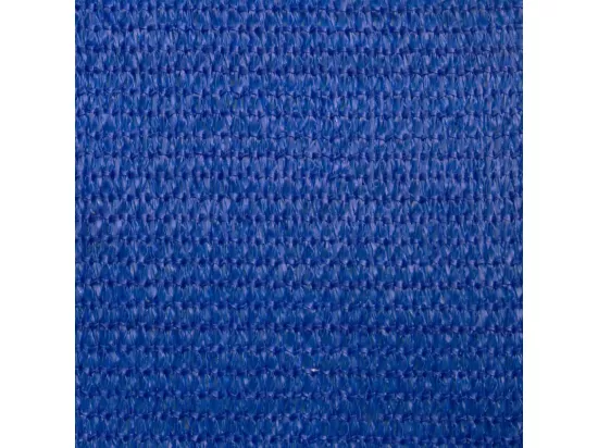 Voile d'ombrage 160 g/m² Bleu 2x3 m PEHD
