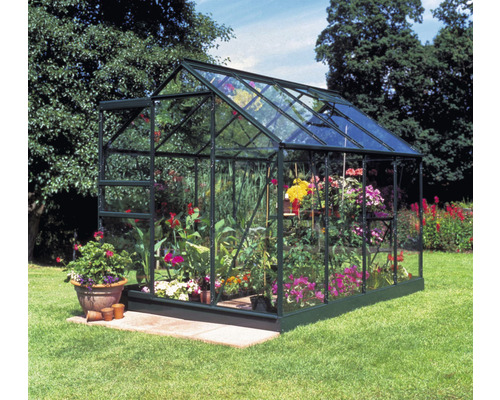Kas Halls Popular 86, veiligheidsglas 3 mm, 193 x 257 cm, groen
