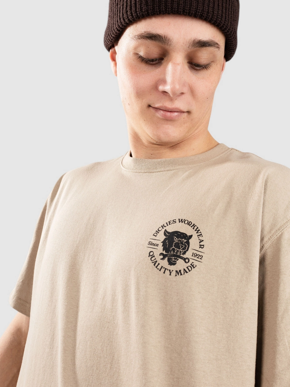 Dickies Wrench T-Shirt desert sand