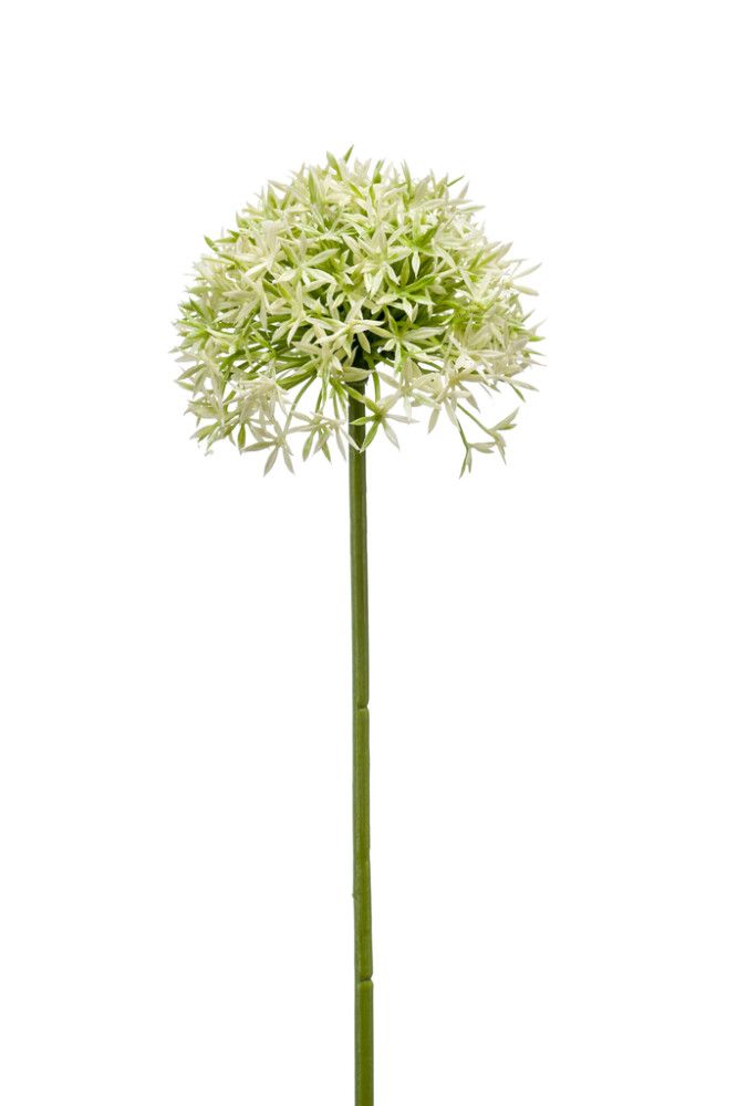 ALLIUM SPRAY EMERALD 62 CM KREM/GRØNN HVIT