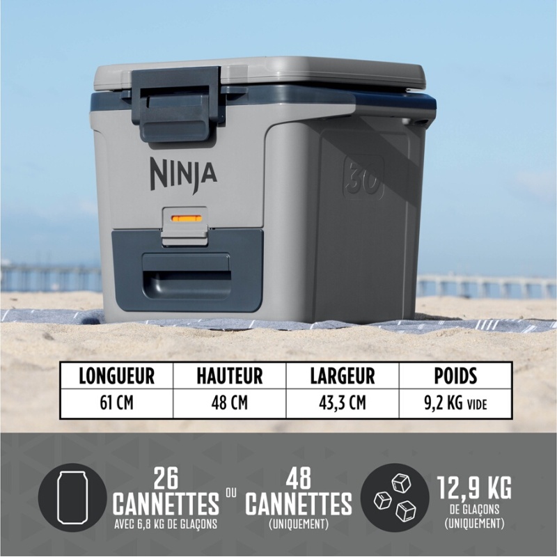 Glacière Ninja FrostVault 28L grise FB131EUGY