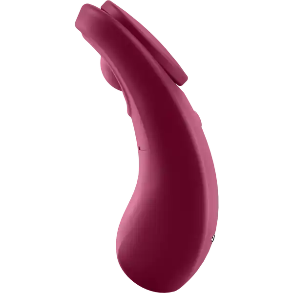 Sexy Secret Panty Vibrator
