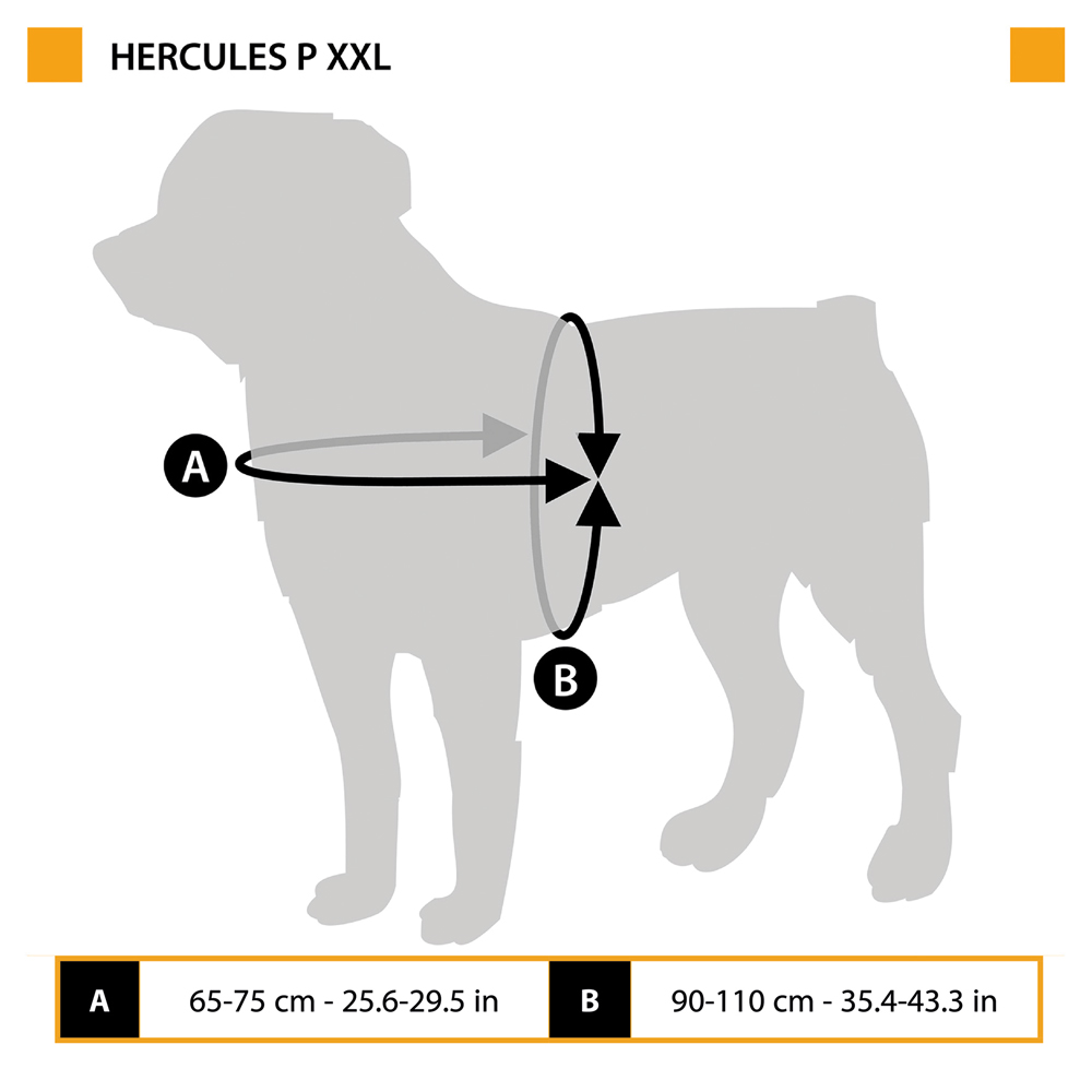Harnais pour chiens hercules xxl, rembourré, résistant, anti-rayures, visible dans l'obscurité, avec poignée