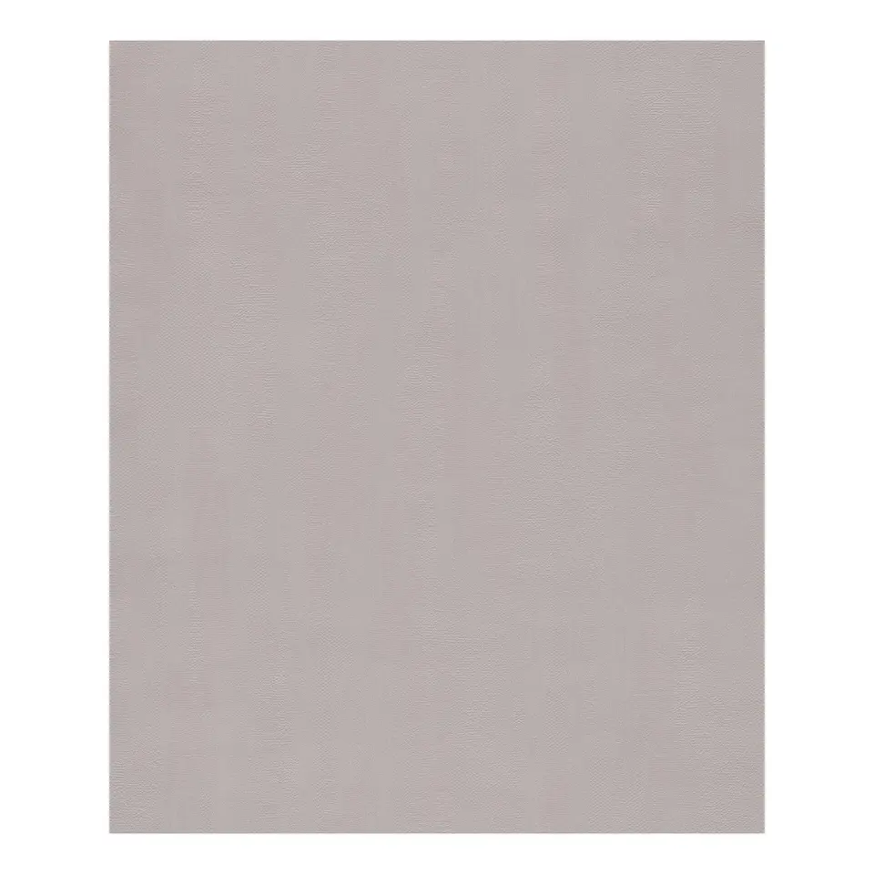 Dutch Wallcoverings - More Textures uni structuur beige - 0,53x10,05m