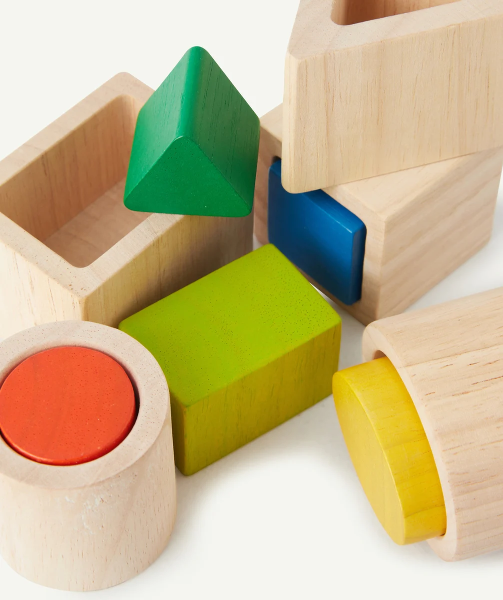 PLAN TOYSFORMES GÉOMÉTRIQUES À IMBRIQUER MONTESSORI - 2Y +