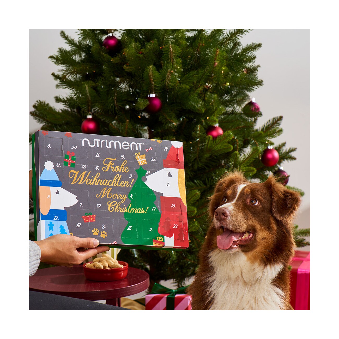 Nutriment Adventskalender für Hunde 2025