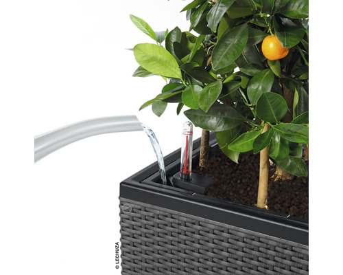 Lechuza Trio Cottage 30 lichtgrijze bloembak inclusief grondbewateringssysteem en waterniveau-indicator
