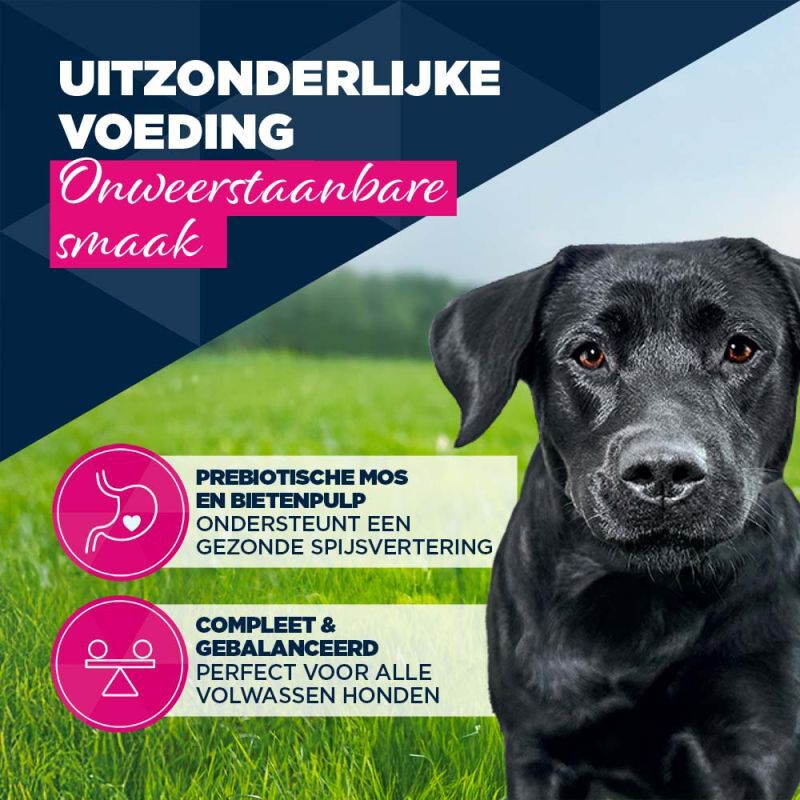 Eukanuba Adult Paté  - Hondenvoer - 400 Gram - forel