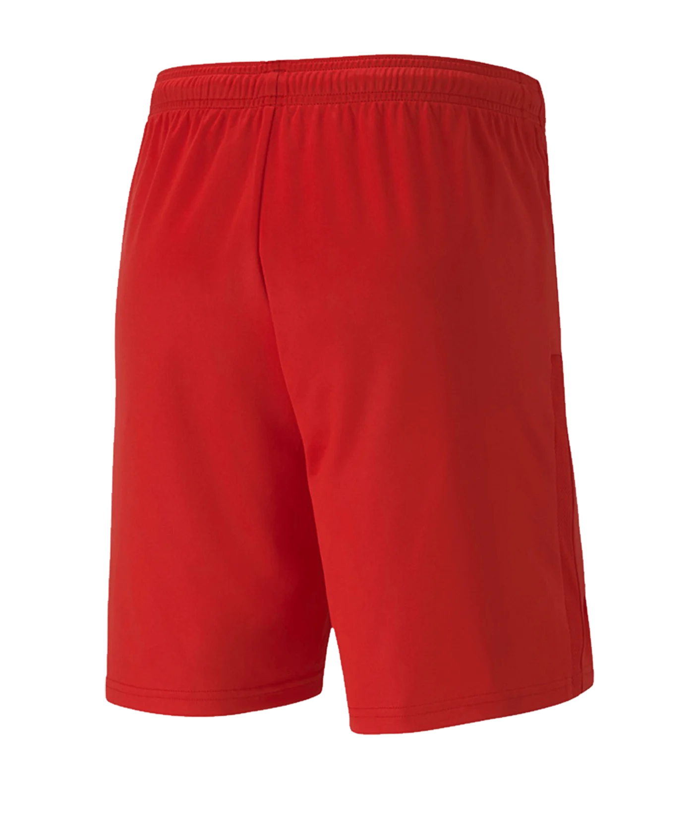 PUMA teamGOAL 23 Knit Short Rot F01