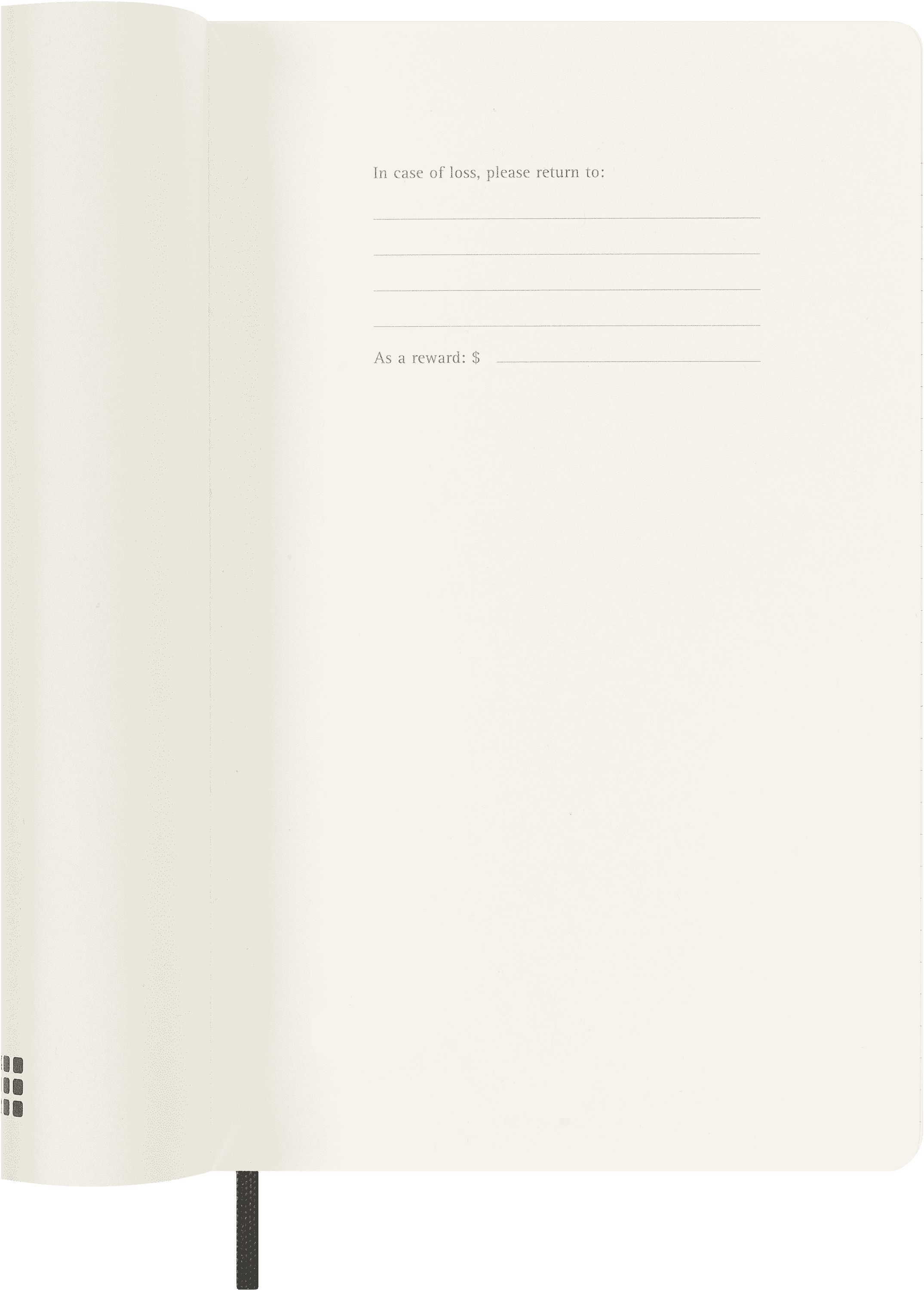 Classic Planner 2025 Large Daily, soft cover, 12 months