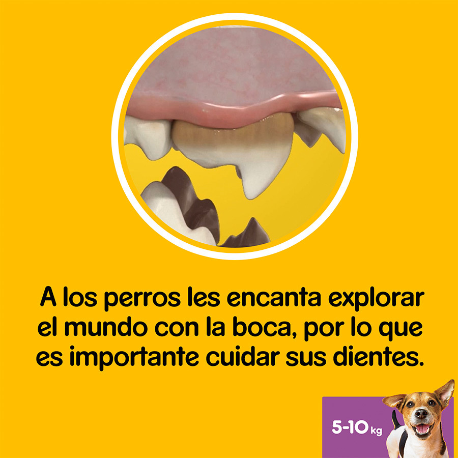 Petiscos Dentais Pedigree Dentastix para Cães de Pequeno Porte