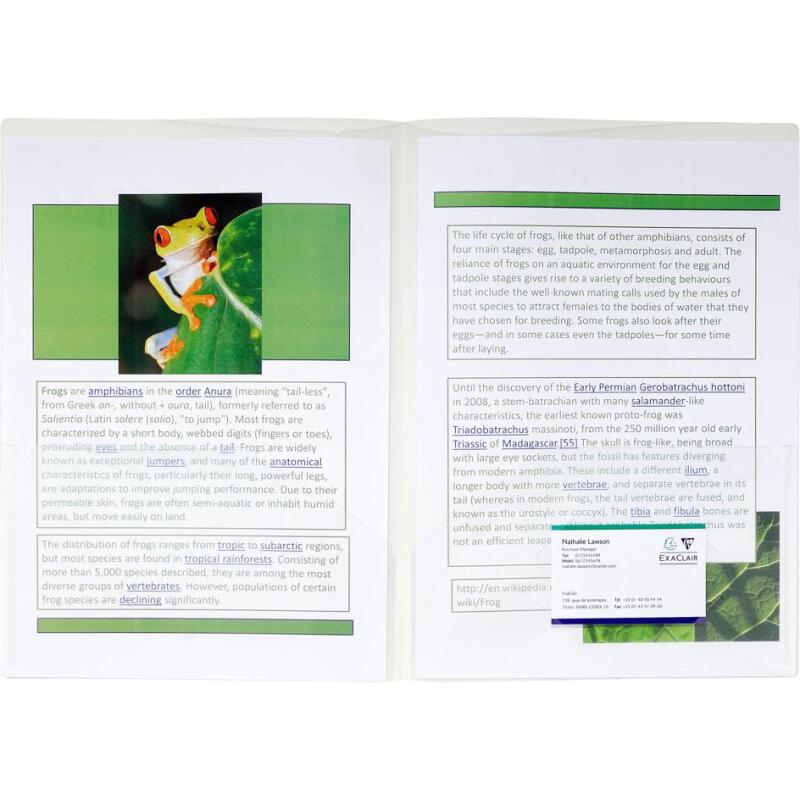 Sachet de 10 chemises double poche polypropylène souple 2/10e - A4 ou A3