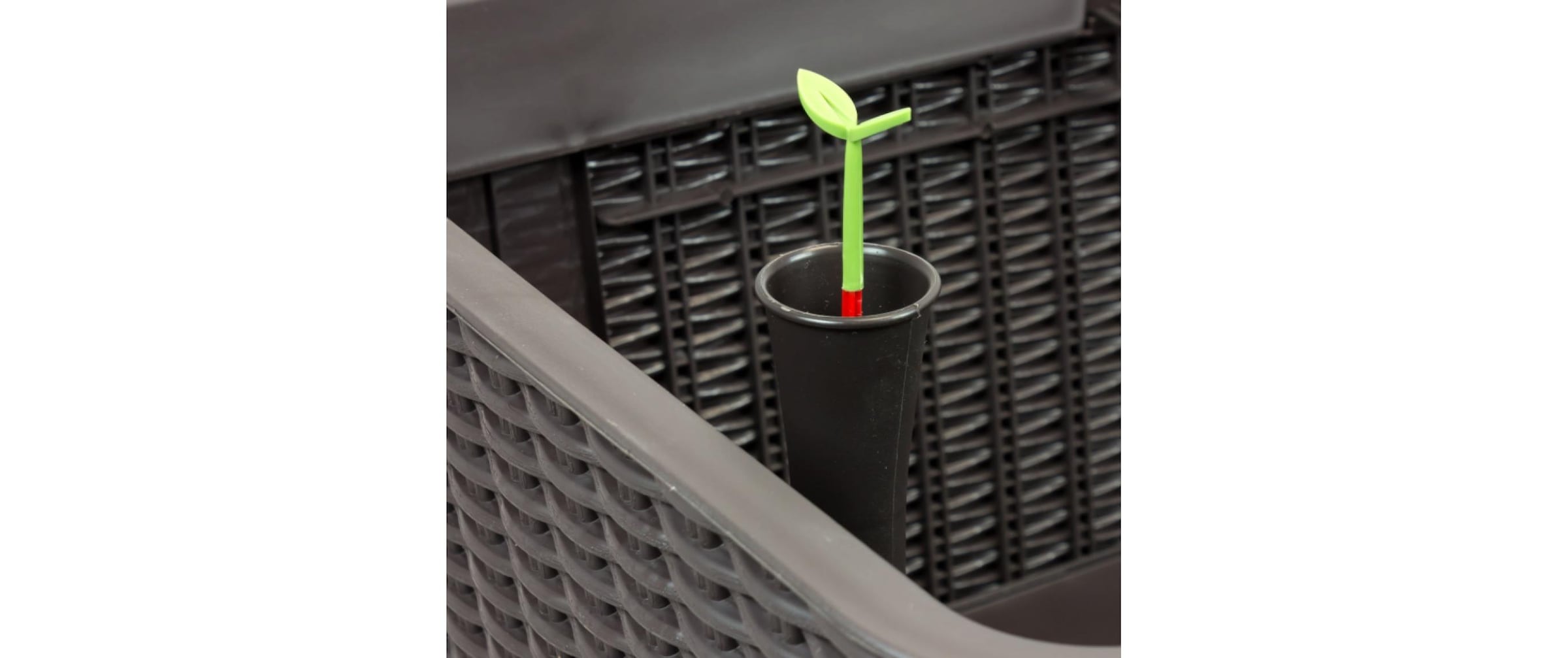 Keter Hochbeet »Growing Pflanztrog«