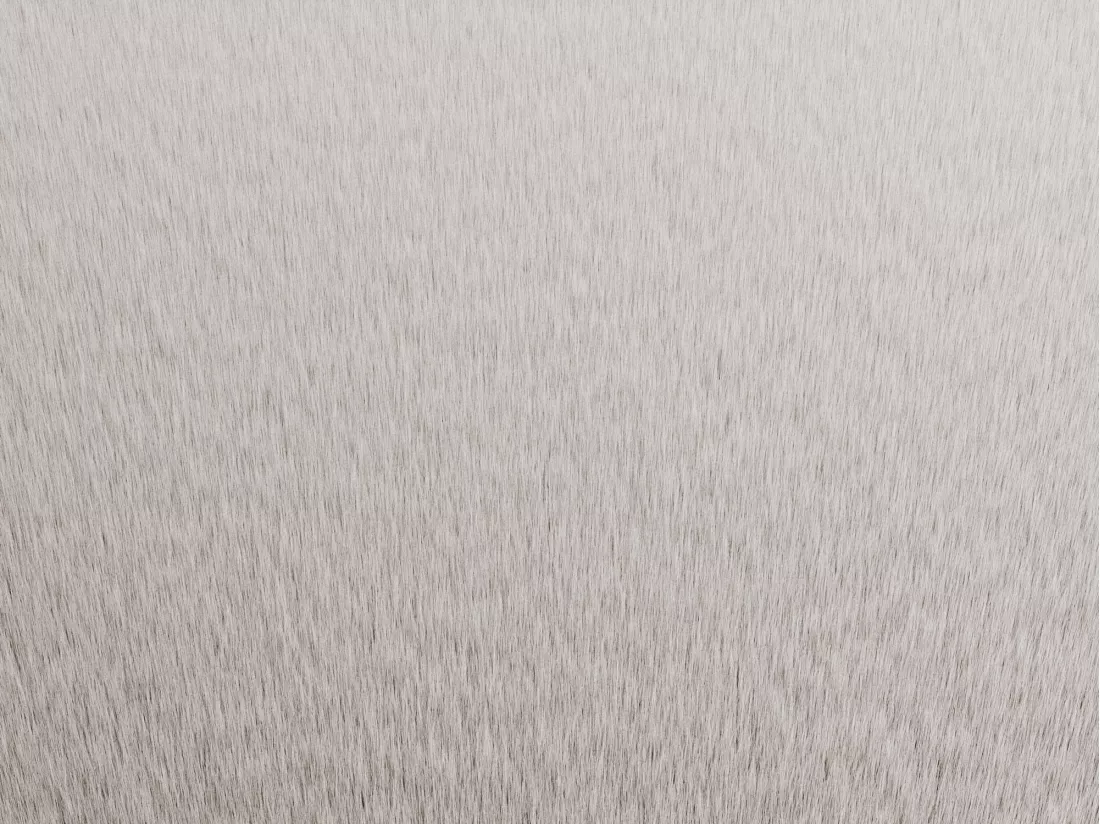 Tapis shaggy organique effet fourrure - 160 x 230 cm - Beige - GIRONA