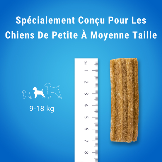 Multipack bâtonnets à mâcher pour chien moyen x42