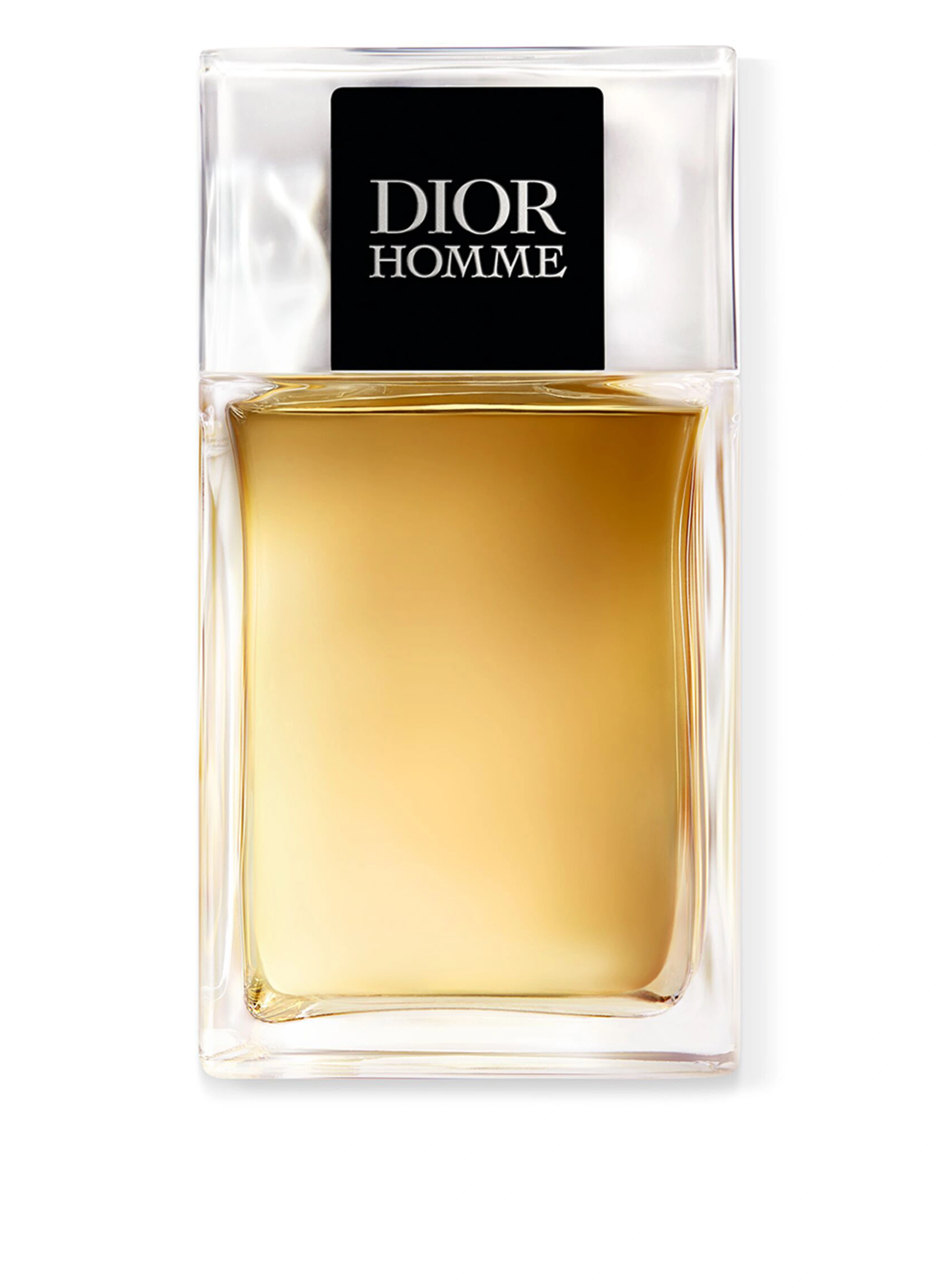 DIOR DIOR HOMME