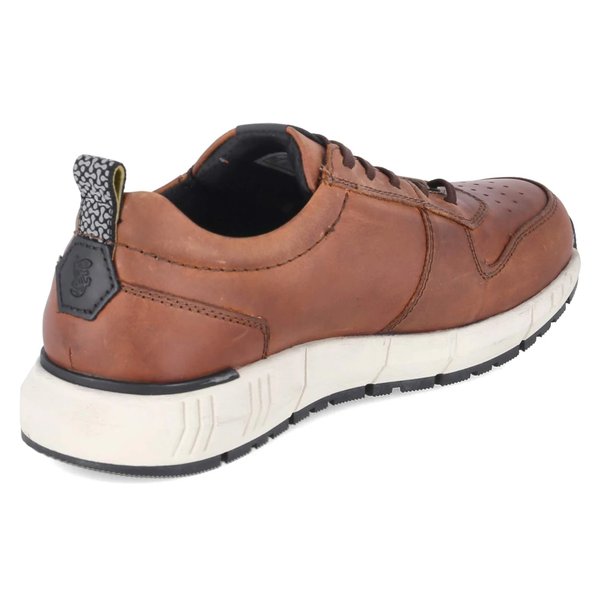 SalamanderLow Sneaker - Dark Brown