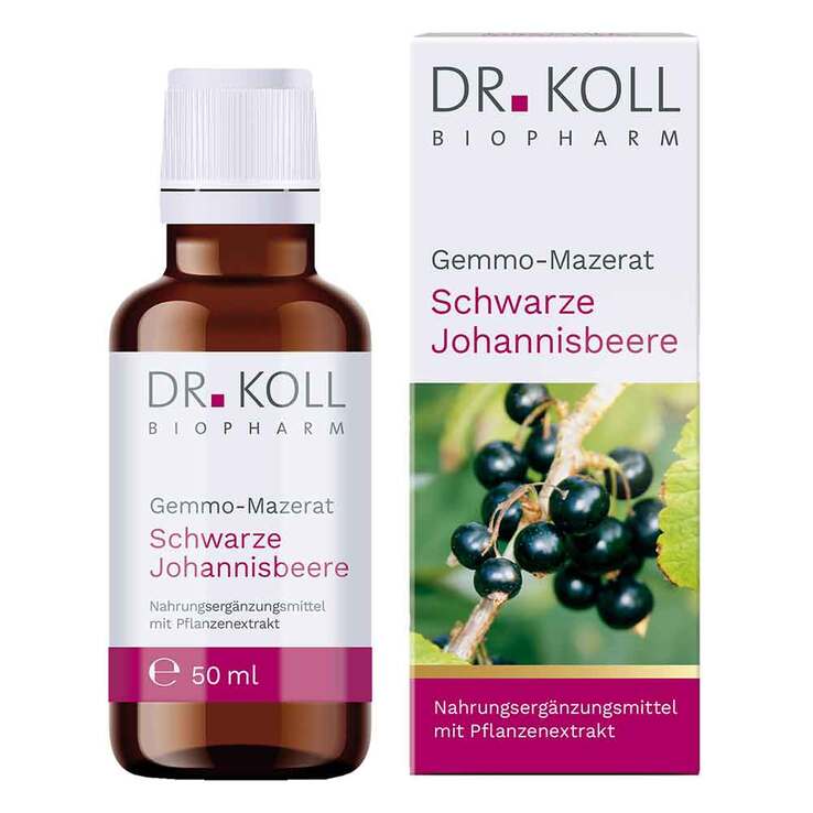 Gemmo Mazerat schwarze Johannisbeere Dr. Koll Ribes, 50 ml