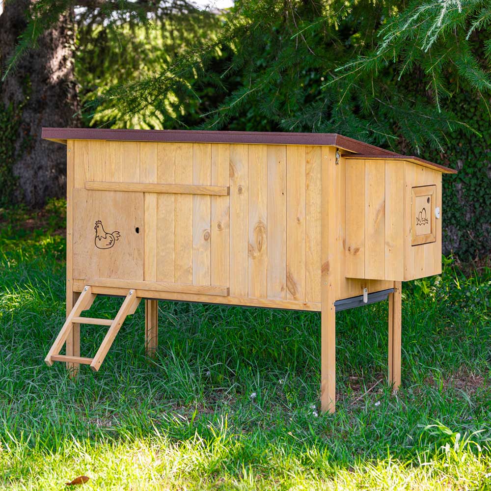 Ferplast poulailler maisonnette pour poules pondeuses hen house 30 d'extérieur, en bois fsc, pour environ 6 poules, accessoires