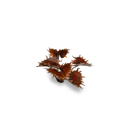Gamer Grass Basis Gestaltung Pflanzen Alien Flytrap, 52er Packung