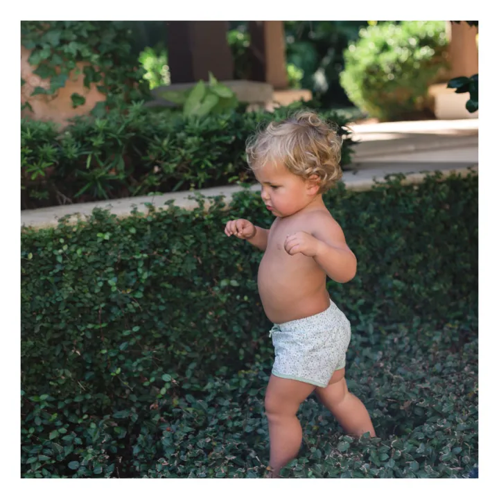 Minnow Short de Bain Boardie | Vert