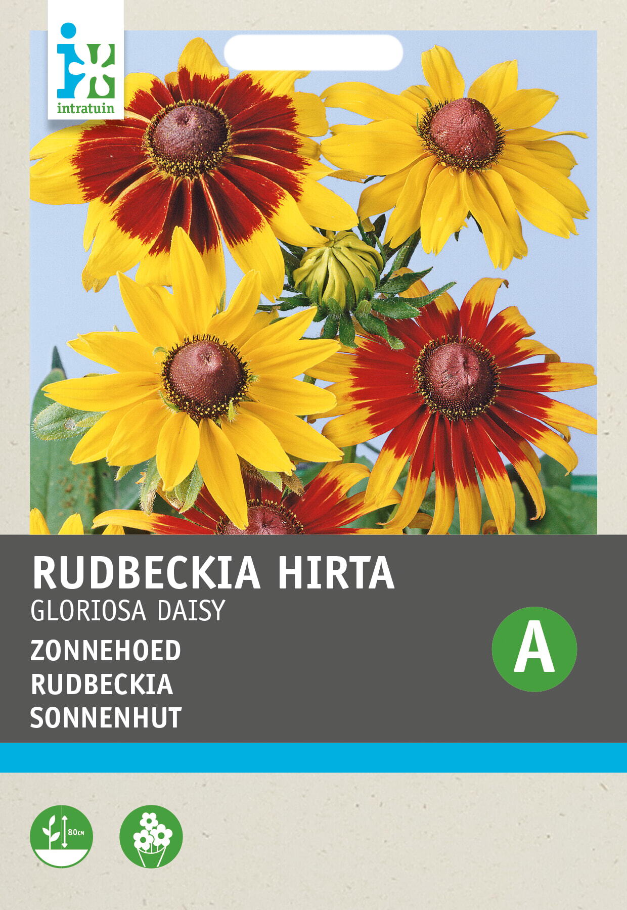 Intratuin bloemenzaad Zonnehoed (Rudbeckia hirta 'Gloriosa Daisy')