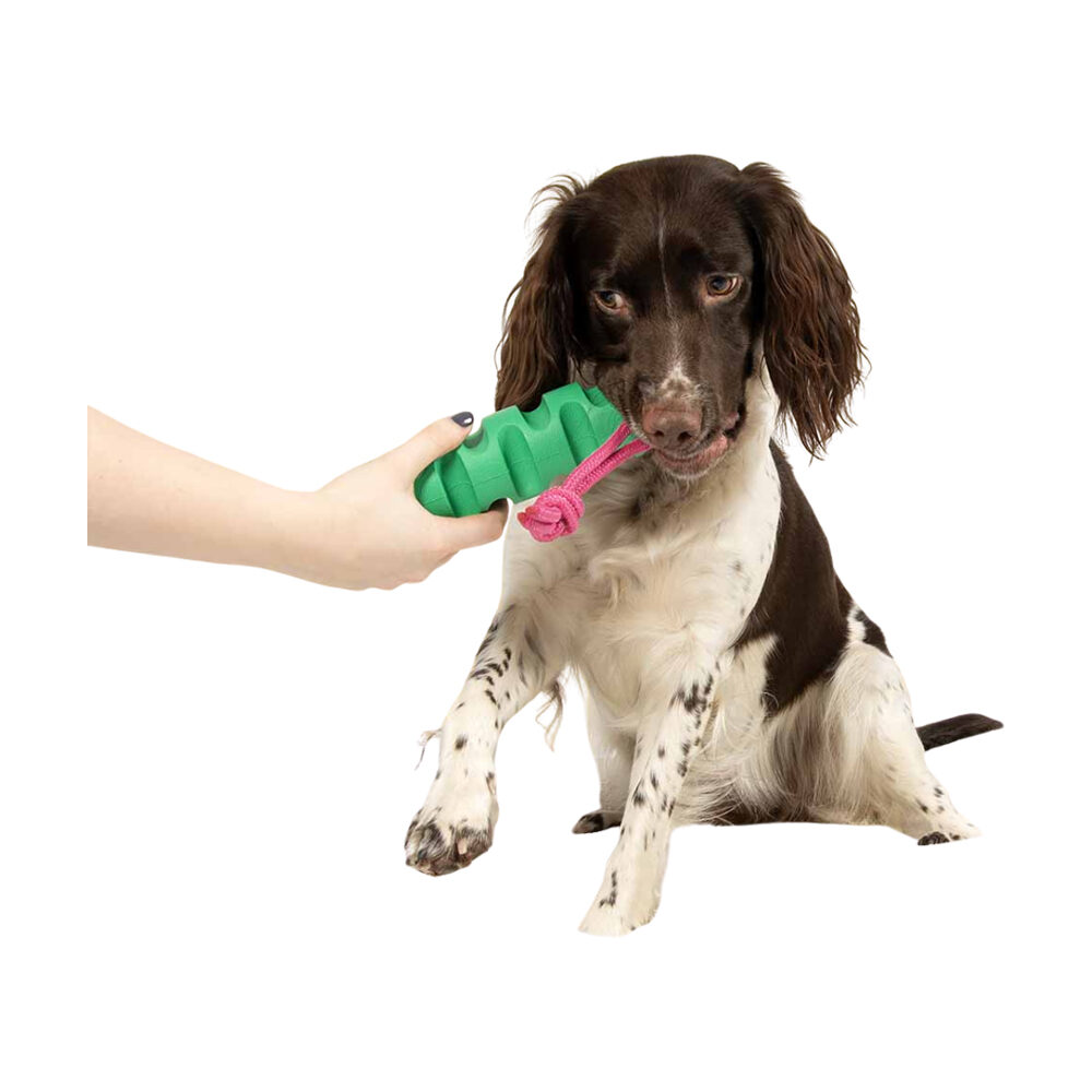 Coockoo Groovy Grip Hondenspeelgoed