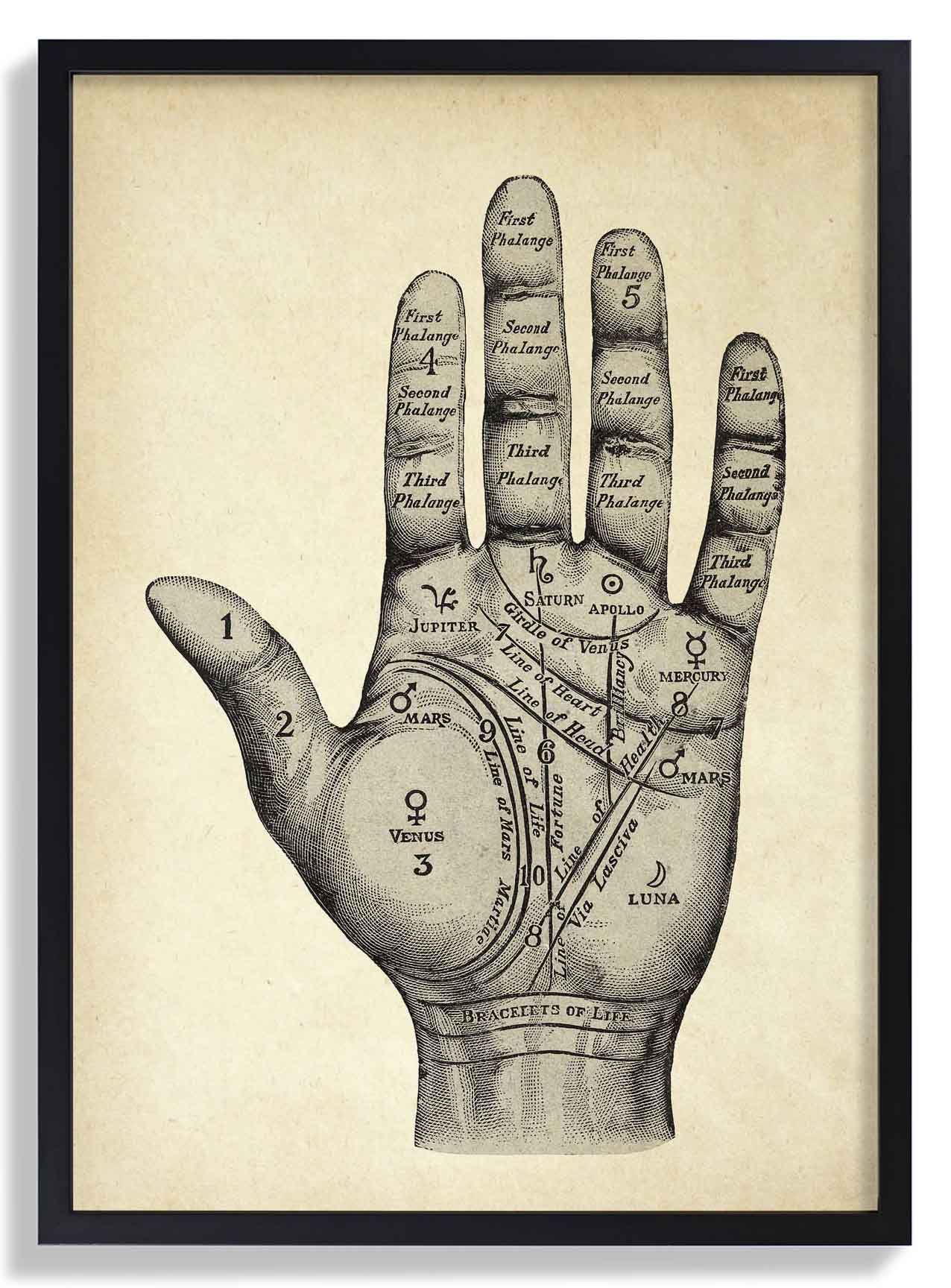 Vintage Mystische Hand