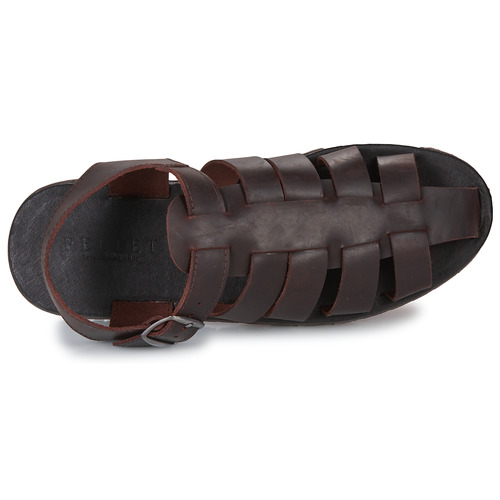 Pellet - DENIS - VEAU MARRON