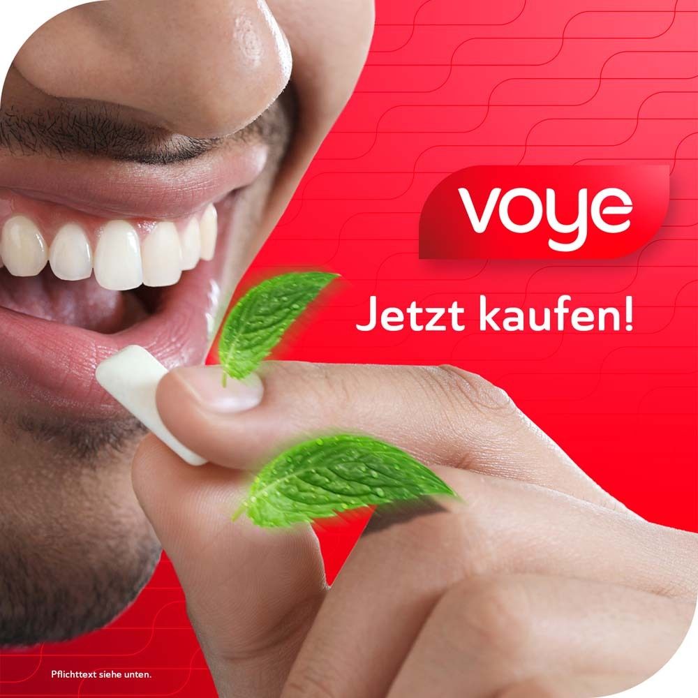 Voye Mint 2mg wirkstoffhaltiges Kaugummi