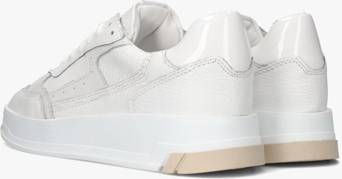 OMODA witte omoda lage sneakers buckley