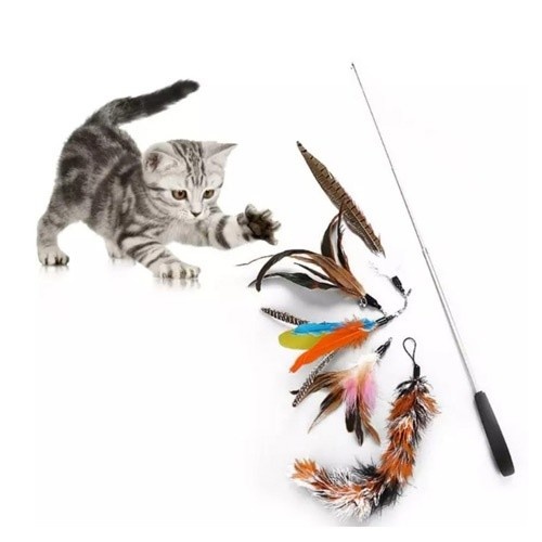 Espanador de penas para gatos